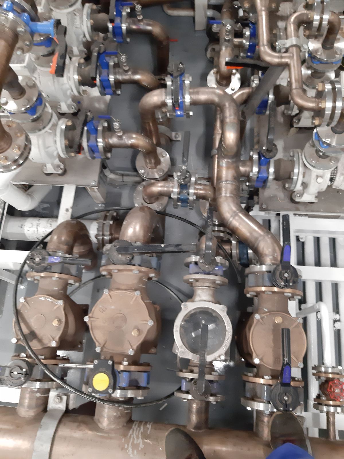 Integrated marine valve and piping distribution system with multiple branches and equipment connections.